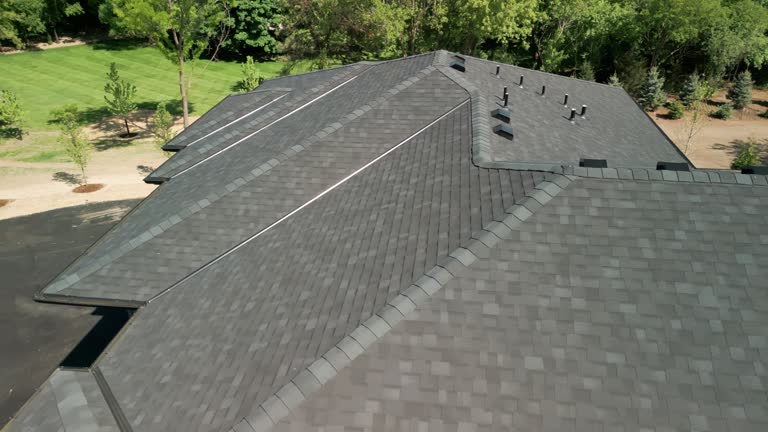 Best Sheet Metal Roofing  in Woodcreek, TX