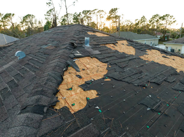 Roof Insulation Installation in Woodcreek, TX